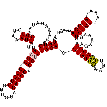 secondary structure