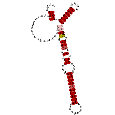 secondary structure