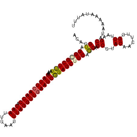 secondary structure