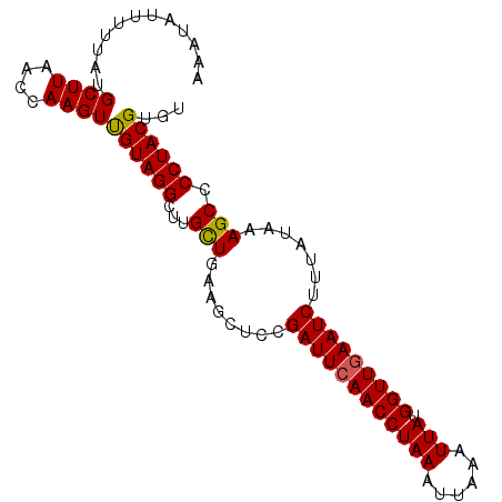 secondary structure