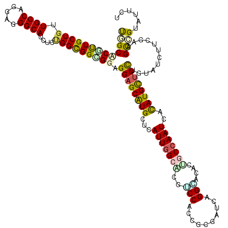 secondary structure