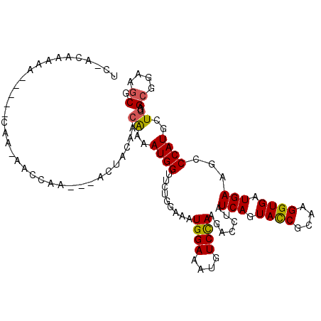 secondary structure