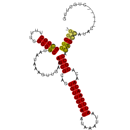 secondary structure