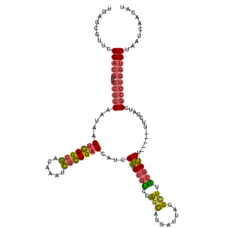 secondary structure