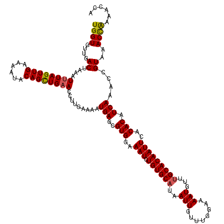 secondary structure