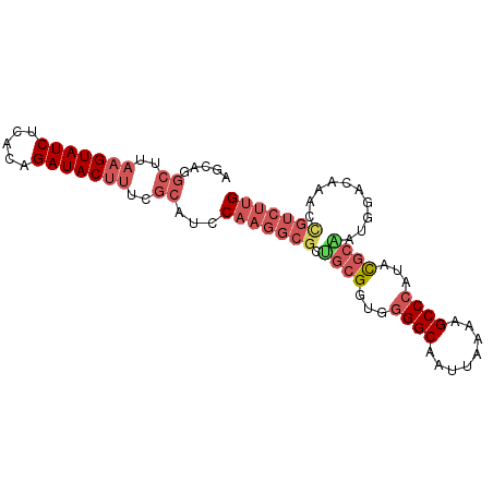 secondary structure