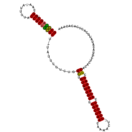 secondary structure