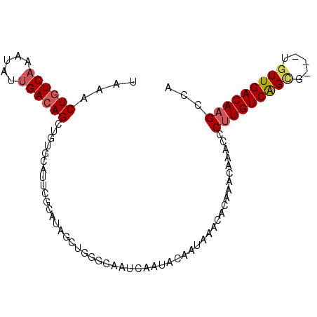secondary structure
