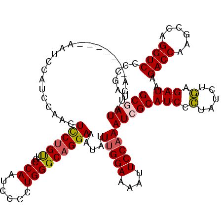 secondary structure