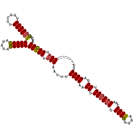 secondary structure