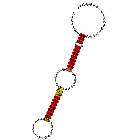 secondary structure