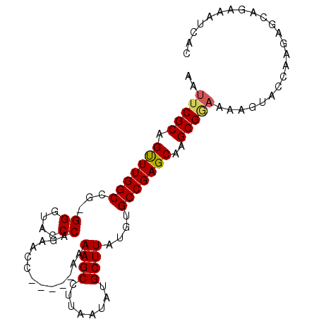 secondary structure