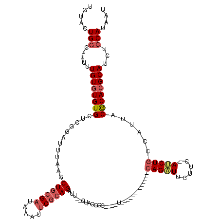 secondary structure