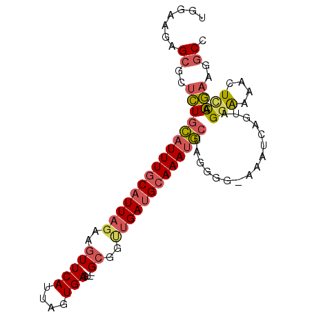 secondary structure