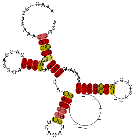 secondary structure