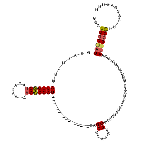 secondary structure