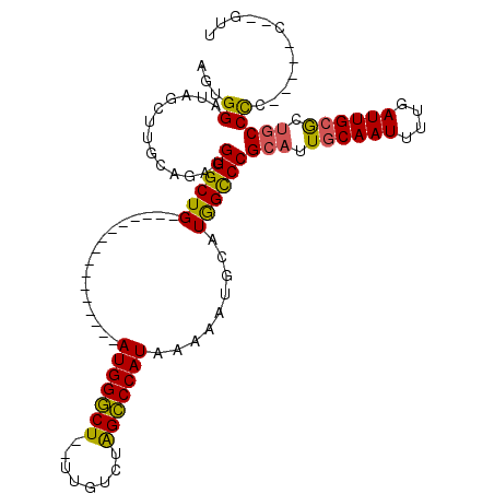 secondary structure