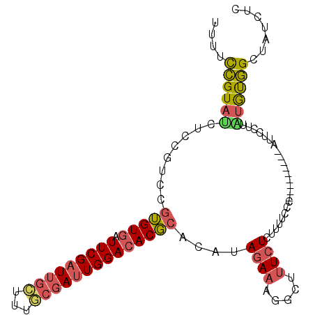 secondary structure