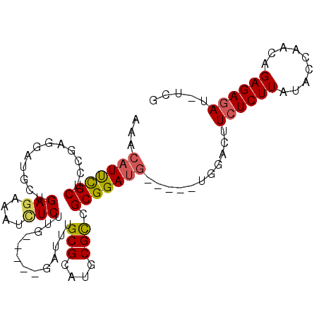 secondary structure