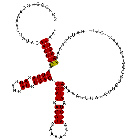 secondary structure