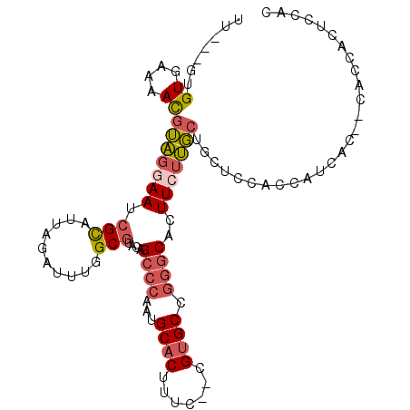 secondary structure
