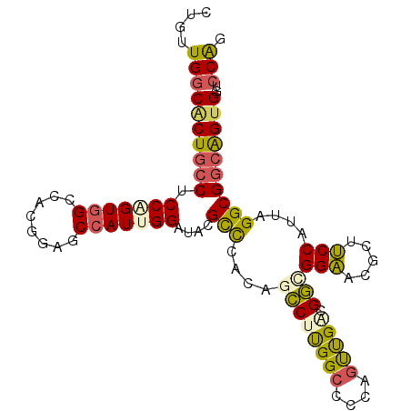 secondary structure