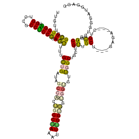 secondary structure