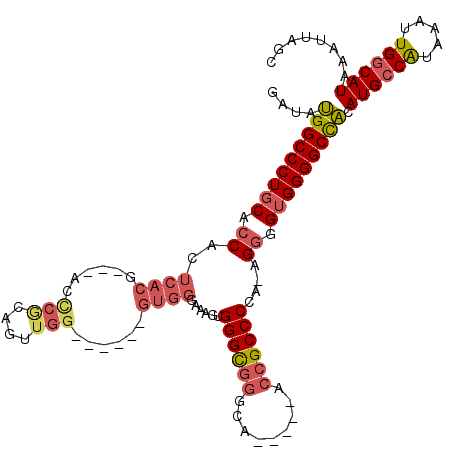 secondary structure