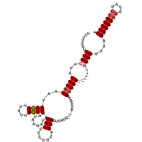 secondary structure