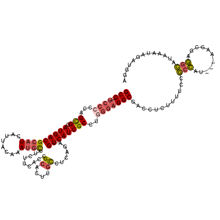 secondary structure