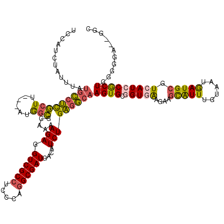 secondary structure