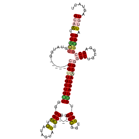 secondary structure