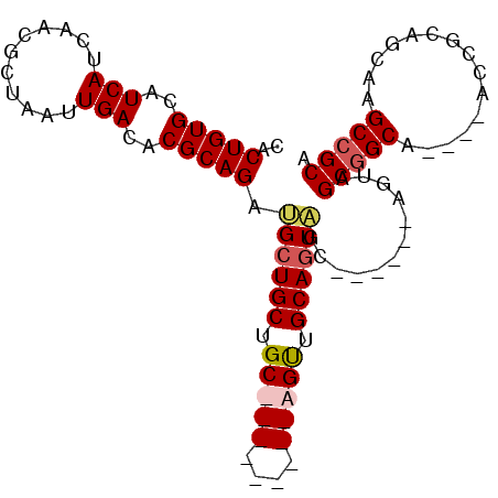 secondary structure