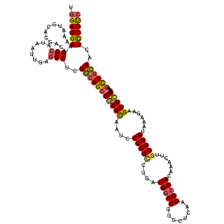 secondary structure