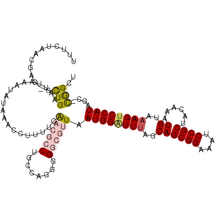 secondary structure