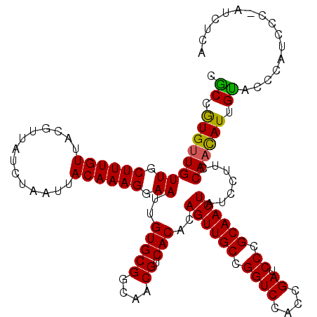 secondary structure