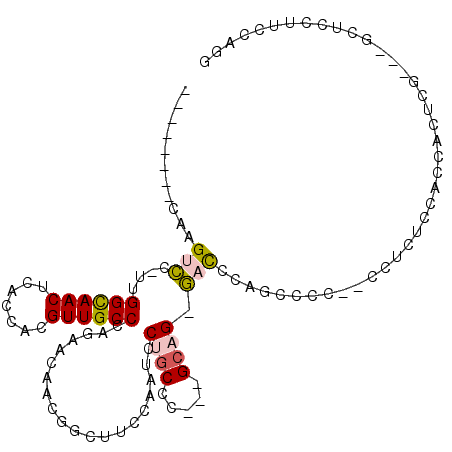 secondary structure