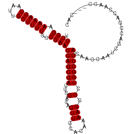 secondary structure