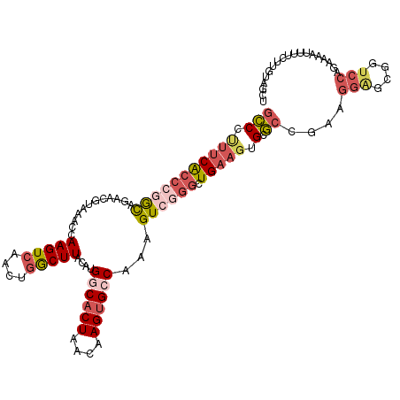 secondary structure