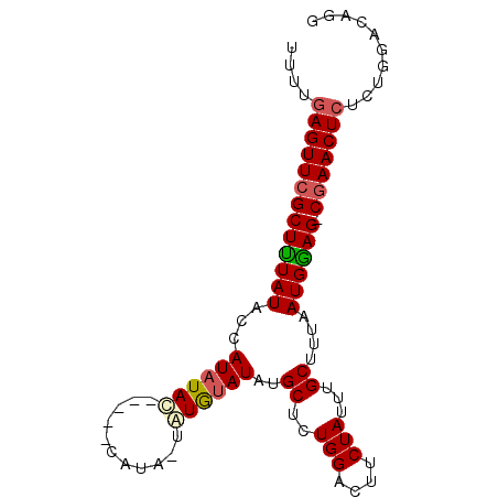 secondary structure