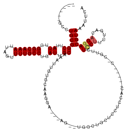 secondary structure