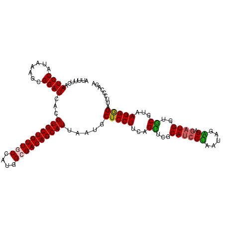 secondary structure