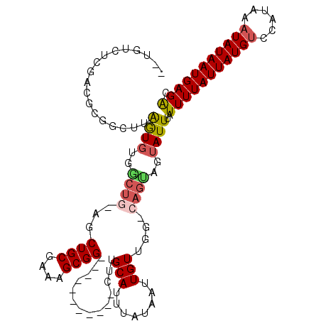 secondary structure