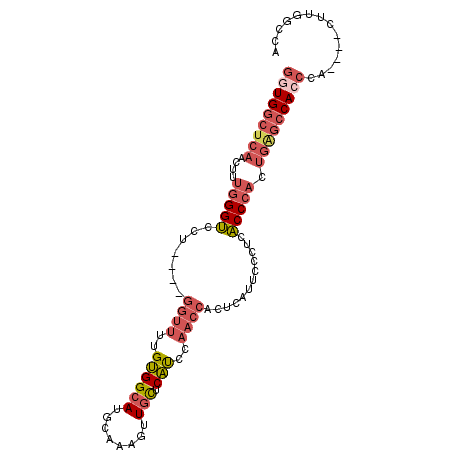 secondary structure