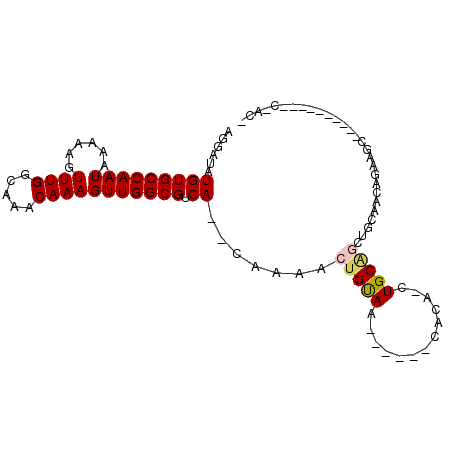 secondary structure