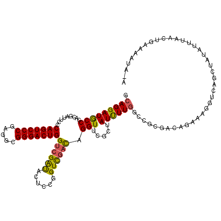 secondary structure