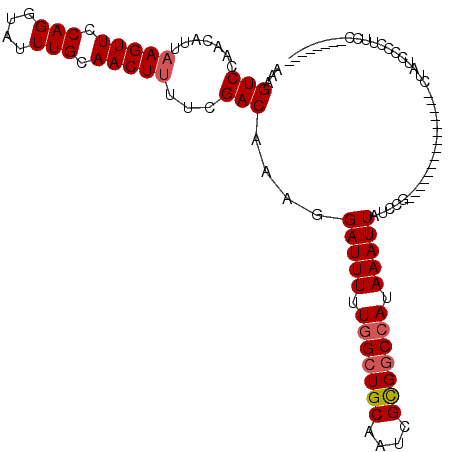 secondary structure