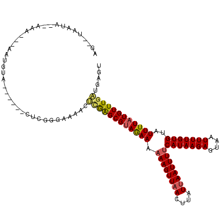 secondary structure