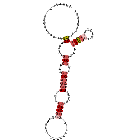 secondary structure