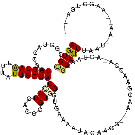 secondary structure